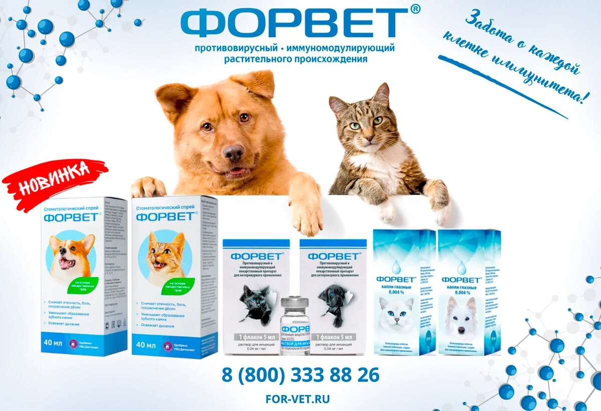 Форвет для кошек
