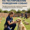 Тестирование