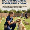 Тестирование