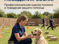 Тестирование